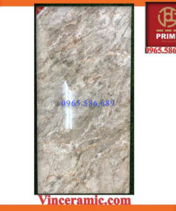 Gạch 60x120 Prime 8365