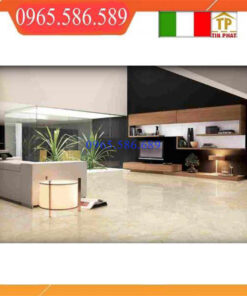 Gạch 80x80 C88J317P vàng bóng
