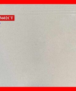 Gạch lát cầu thang 50x60 CT5602