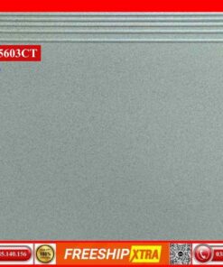 Gạch lát cầu thang 50x60 CT5603