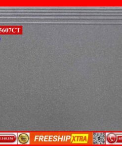 Gạch lát cầu thang 50x60 CT5607