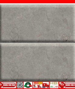 Gạch 80x160 Apodio AF10866005