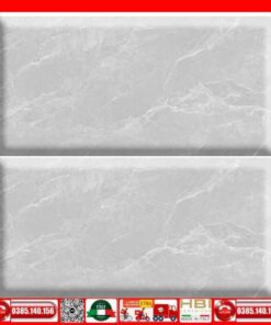 Gạch 80x160 Apodio AF10866007