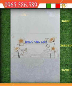 Gạch 30x60 Apodio 36803-36803D-36903