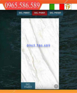 Gạch 40x80 Eurotile Hải phong SIG-P4801