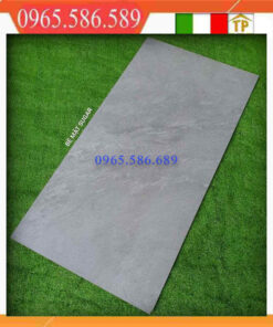 Gạch 60x120 Apodio 61124016