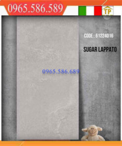 Gạch 60x120 Apodio 61124016
