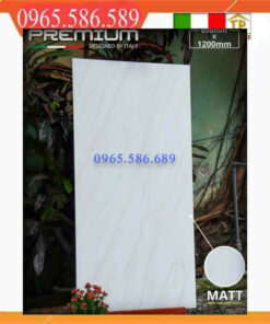 Gạch 60x120 APODIO 61131201 đá mở mịn trắng xám