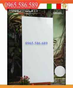 gach 60x120 apodio 61181001