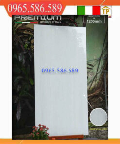 Gạch 60x120 APODIO 61181023 đá bóng kính