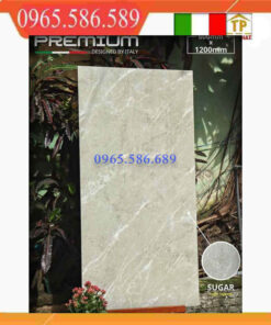 Gạch 60x120 APODIO 61225011