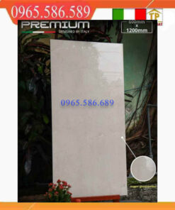 Gạch 60x120 APODIO 61281025 bóng kính