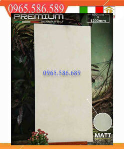Gạch 60x120 APODIO 61432006 màu kem