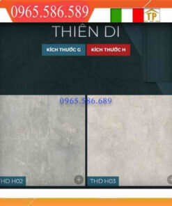 Gạch 60x60 Eurotile thiên di THD H02-H03