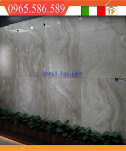 Gạch 80x120 APODIO BL 81806