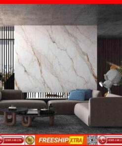Gạch 80x260 INFINITY-XSTONE-XT268922M