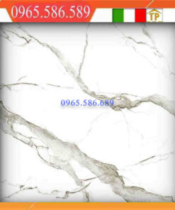 Gạch 80x80 Eurotile chiêu phong SIG-P8806
