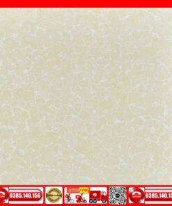 Gạch 60x60 Granite. HJP603 mạng nhện