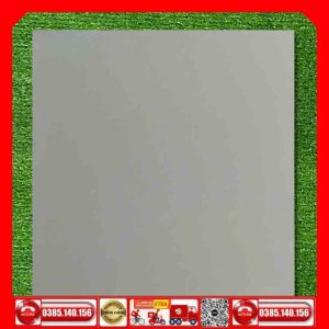 Gạch 60x60 AA600 Granite AA6000 tông xám