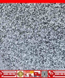 Gạch 60x60 Granite L6021 hoa cương mè xám