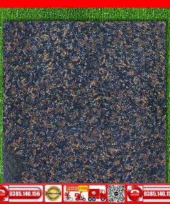 Gạch 60x60 AA600 Granite NS665D hoa cương