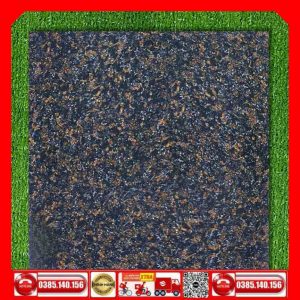 Gạch 60x60 AA600 Granite NS665D hoa cương
