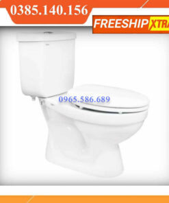 Bồn cầu 2 khối Viglacera VT18M