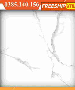 Gạch 60x60 Ý Mỹ EP69001R_A