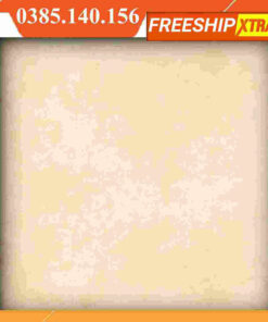 Gạch 80x80 ý Mỹ P85002