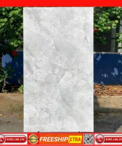 Gạch 60x120 Takao TK52102 vân đá xám