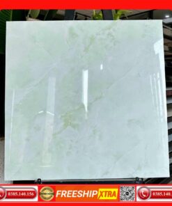 Gạch 60x60 TAKAO TK56056
