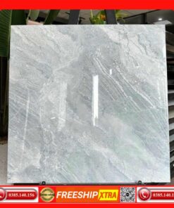 Gạch 60x60 TAKAO TK56110 màu xám