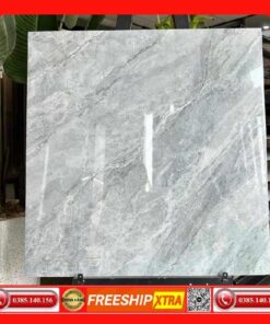 Gạch 60x60 TAKAO TK56115 vân đá xám
