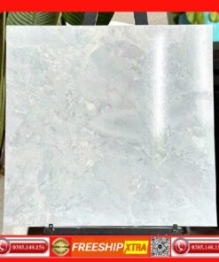 Gạch 60x60 TAKAO TK57105 màu xám