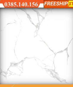 Gạch 60x60 Takao 16117 màu trắng xám calacata