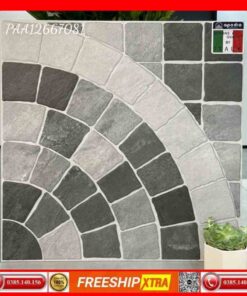 Gạch 60x60 Apodio PA-12667081