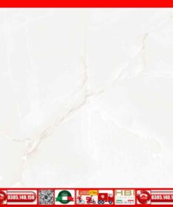 Gạch 60x60 Ý-mỹ P68068C
