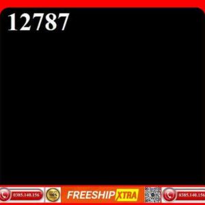 Gạch 60x60 Prime 12787 màu đen trơn