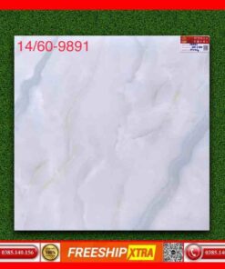 Gạch 60x60 Prime 9891 vân mây