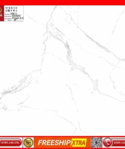 Gạch 60x60 Prime 29611 màu trắng vân xám khói