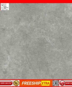 Gạch 60x60 và 80x80 Prime 25000 đá matt xám xi măng mịn
