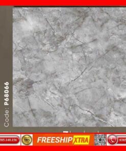 Gạch 60x60 Ý-mỹ Columbuscera-P68066 vân đá xám