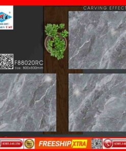 Gạch 80x80 Ý Mỹ Pierre-Cardin-F88020RC vân đá xám