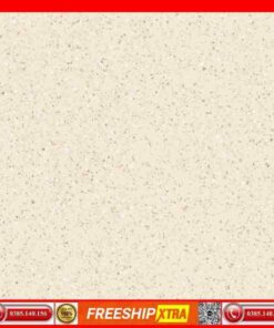 Gạch 60x60 và 80x80 Prime 25009 Terrazzo màu kem
