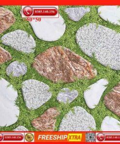 Gạch lát sân 50x50 Prime 5613SG