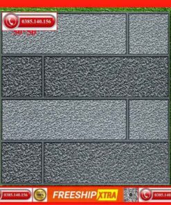 Gạch lát sân 50x50 Prime VING5002