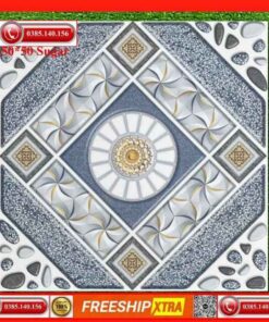 Gạch lát sân 50x50 Prime VIN5071