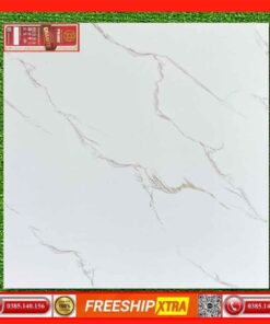 Gạch 60x60 Prime 29158 trắng vân xám khói