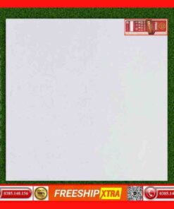 Gạch 60x60 Prime 66127M đá mờ