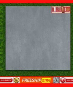 Gạch 60x60 Prime 66134M đá mờ xám xi măng
